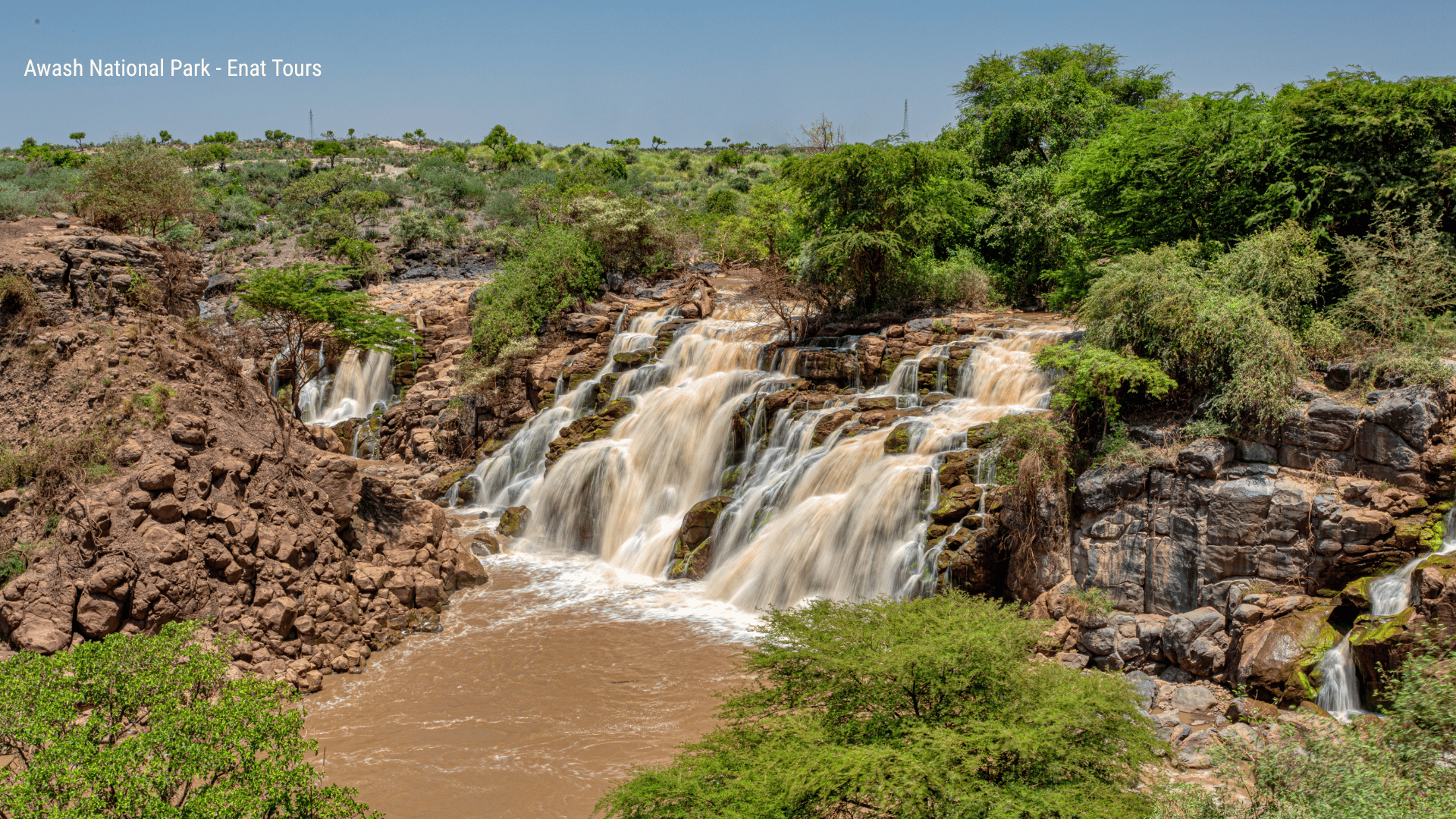 5 Days Harar and Awash National Park 1 5 Days Harar and Awash National Park Awash National Park Enat Tours