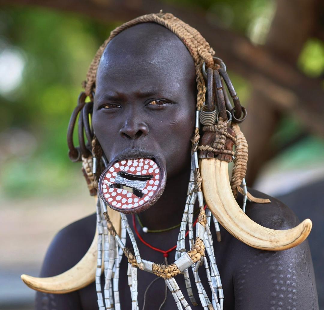 12 Days Southern Ethiopia & Bale Mountains 2 12 Days Southern Ethiopia & Bale Mountains WhatsApp Image 2024 05 15 at 23.51.48 28f2d203