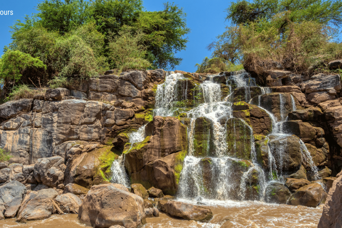 5 Days Harar and Awash National Park
