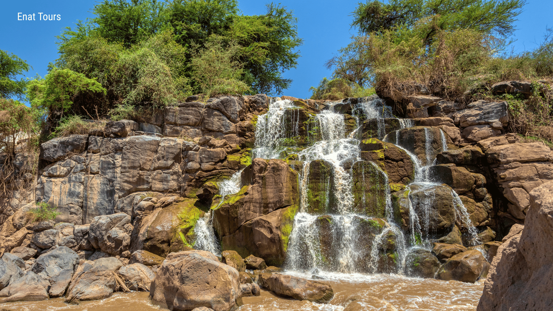 2-Day Awash National Park Game Safari 1 Awash National Park Game Safari Ethiopia