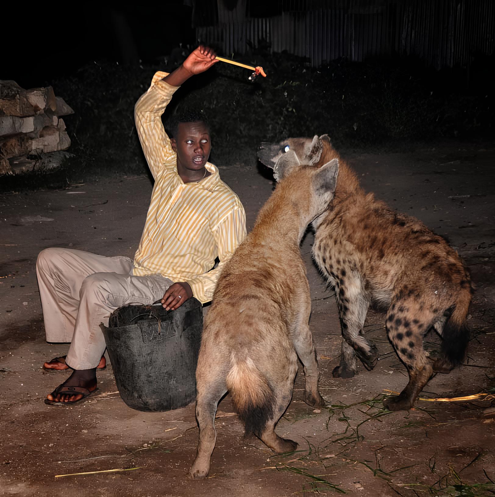 Muslim Pilgrimage Tours in Ethiopia 2 Muslim Pilgrimage Tours in Ethiopia harar camera1