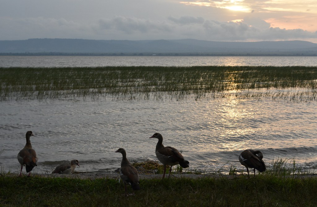 12 Days Southern Ethiopia & Bale Mountains 3 12 Days Southern Ethiopia & Bale Mountains 990b103d 471d 47be be1f a7f6629b5939