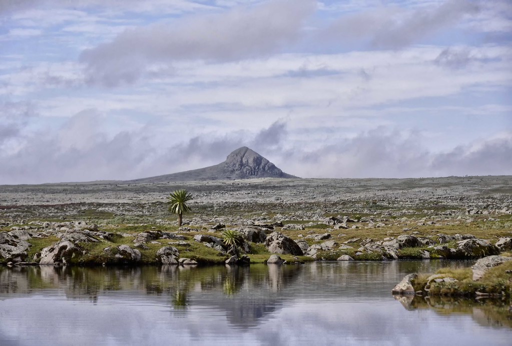 5 Days Bale Mountain Trekking Tours 2 5 Days Bale Mountain Trekking Tours d82799c2 3758 4643 a469 0e44922af52f