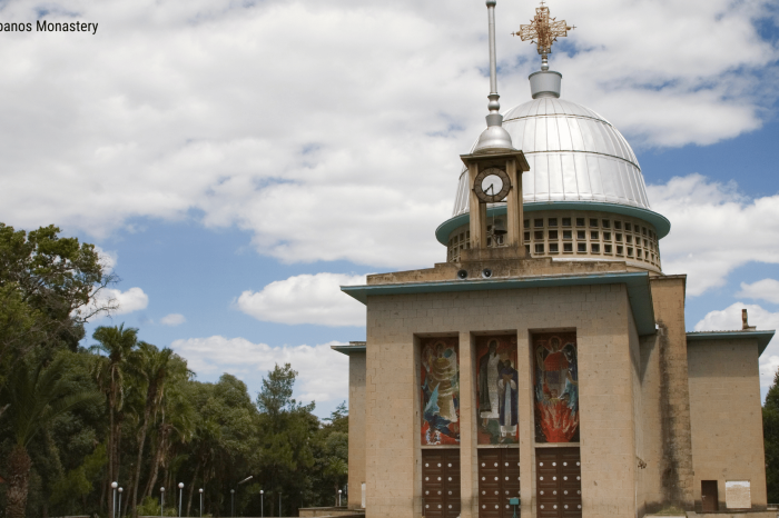 2-Day Addis Ababa & Debra Libanos