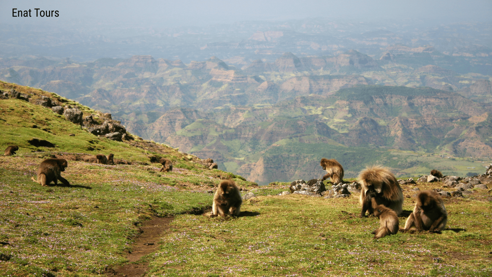 5 Days Simien Mountain Trekking Tours Enat Tours 1 2